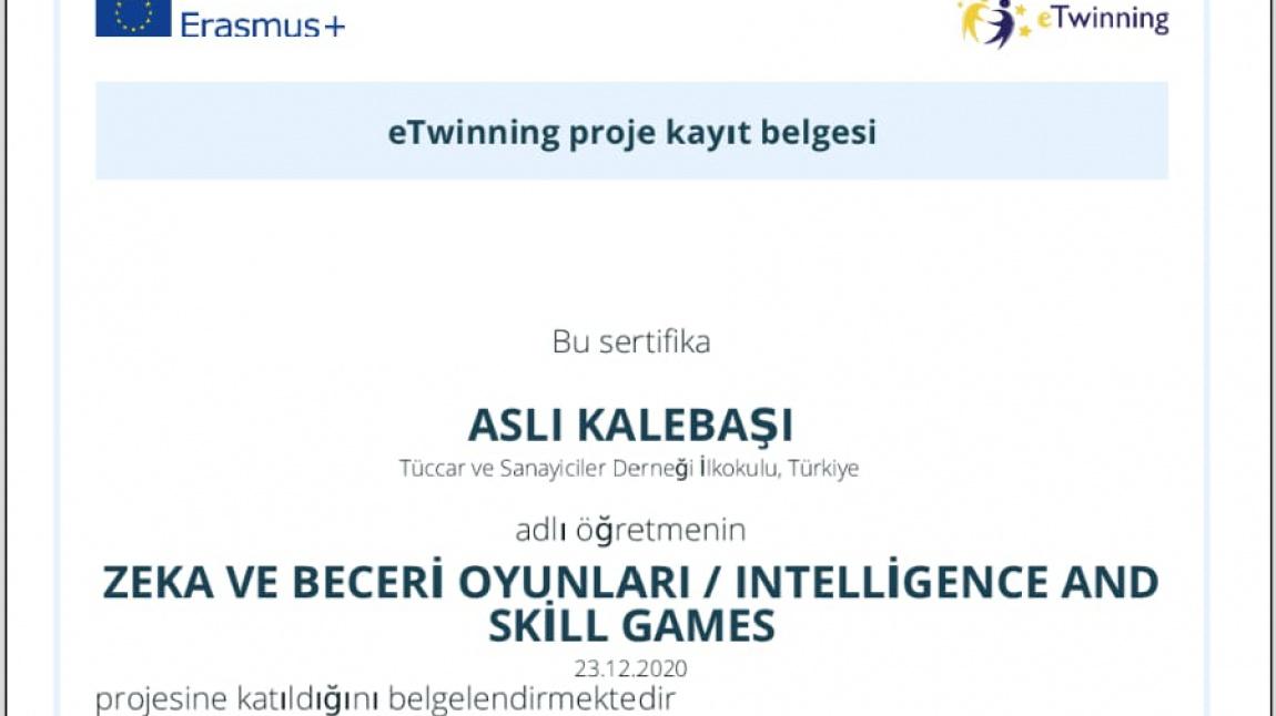 OKULUMUZ ÖĞRETMENİ ASLI KALEBAŞI'NIN KATILMIŞ OLDUĞU e-twinning PROJESİ 