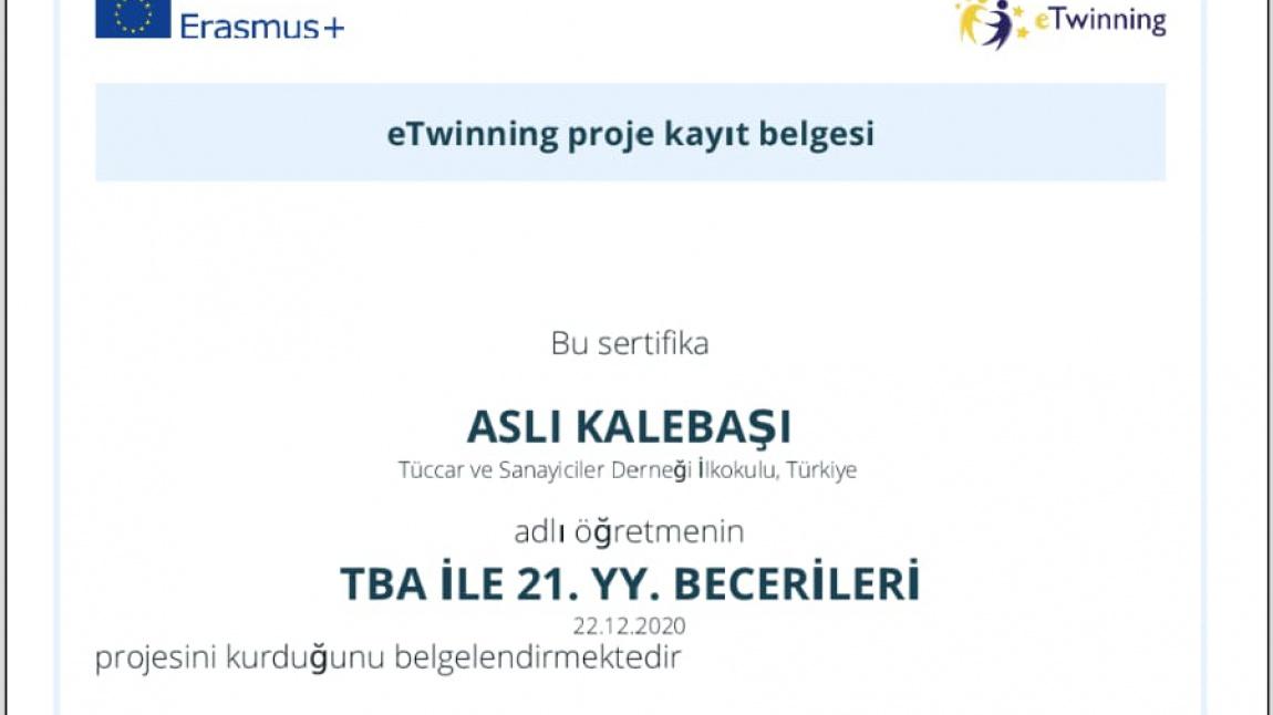 ÖĞRETMENİMİZ ASLI KALEBAŞI'NIN KURUCULUĞUNU YAPTIĞI e-twinning PROJESİ